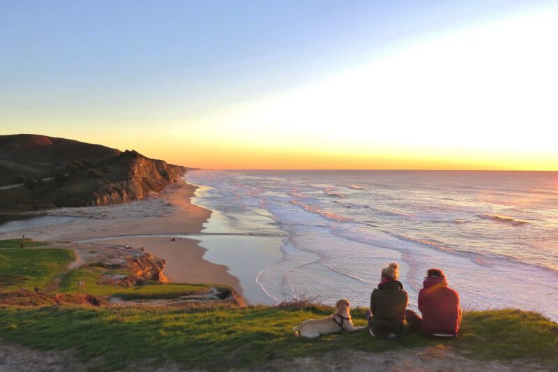 Agentic AI, Data Policies, and Quantum: 5 Key Trends Shaping 2026